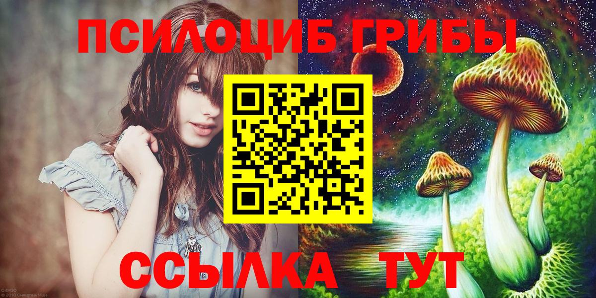Галлюциногенные грибы GOLDEN TEACHER  Псилоцибиновые грибы Psilocybine cubensis  Белово  Вход с VPN 