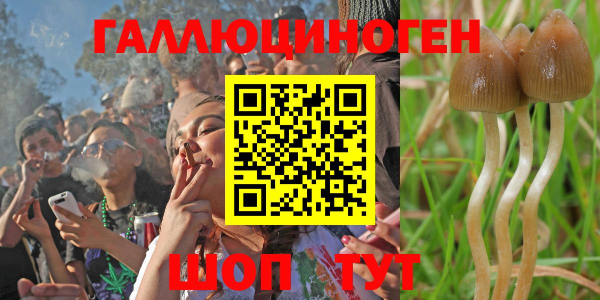 Галлюциногенные грибы Magic Shrooms Белово